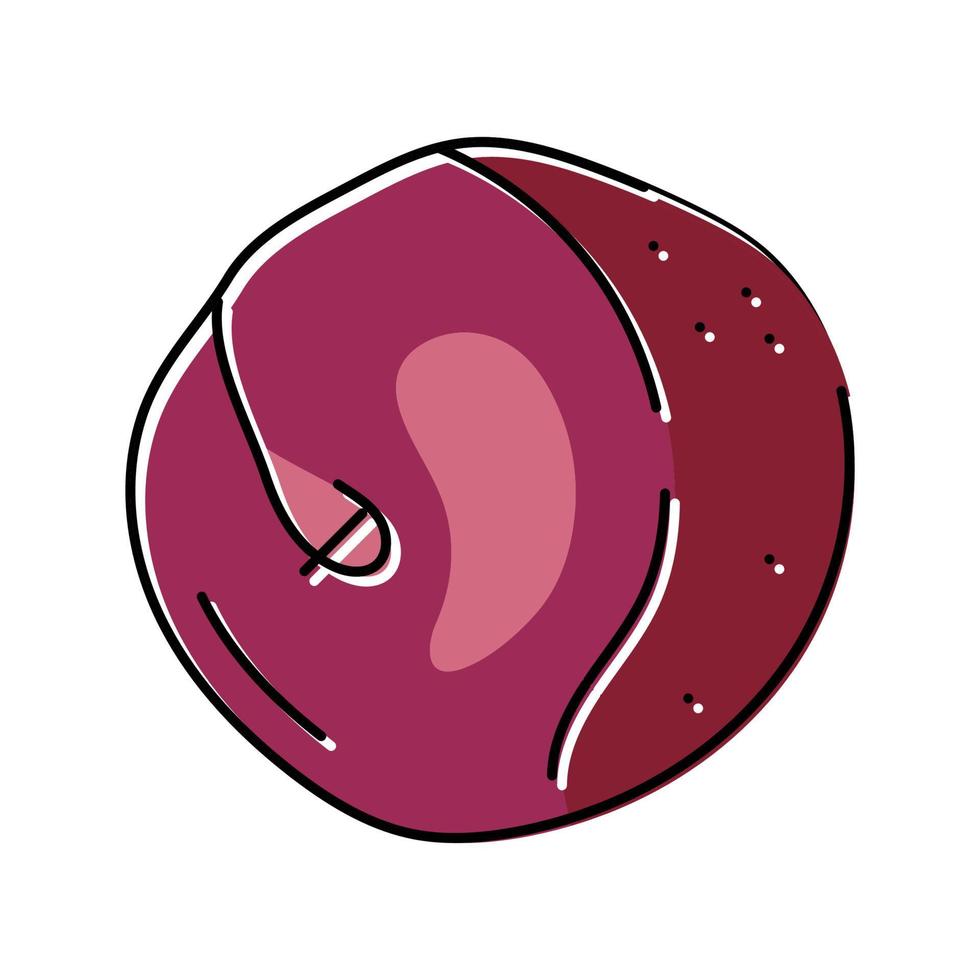 plum burgundy fruit color icon vector illustration