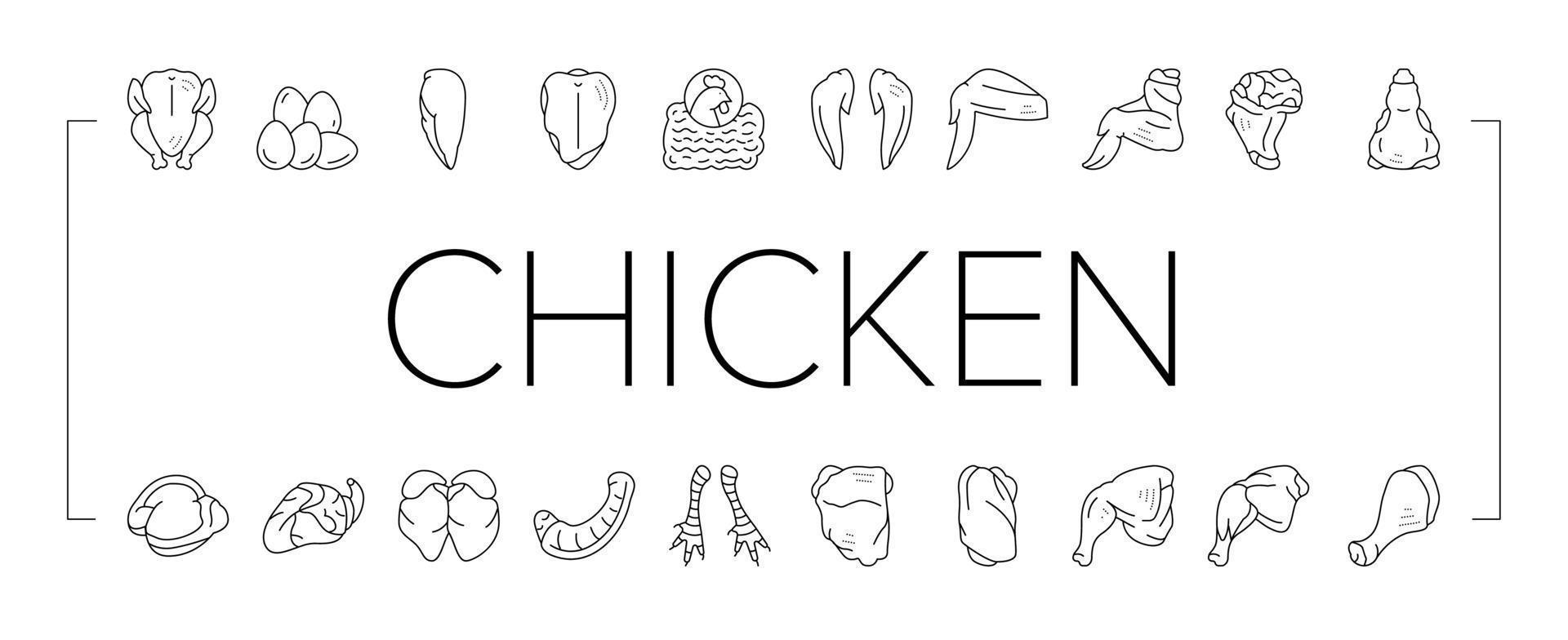 Chicken Animal Farm Raw Meat Food Icons Set Vector