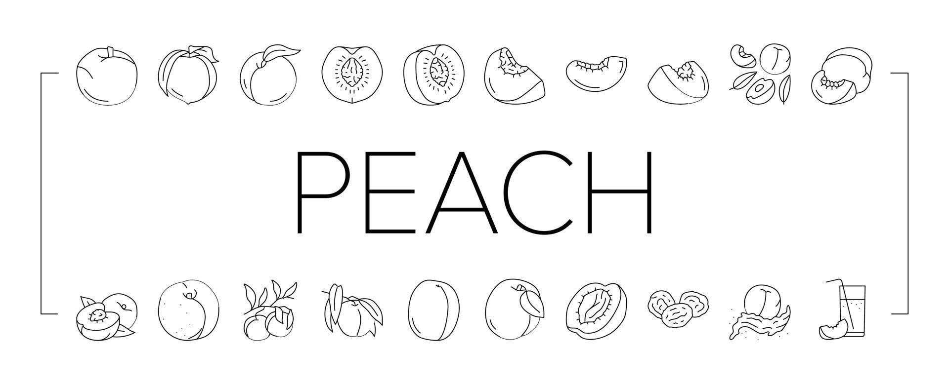 peach fruit nectarine juicy icons set vector