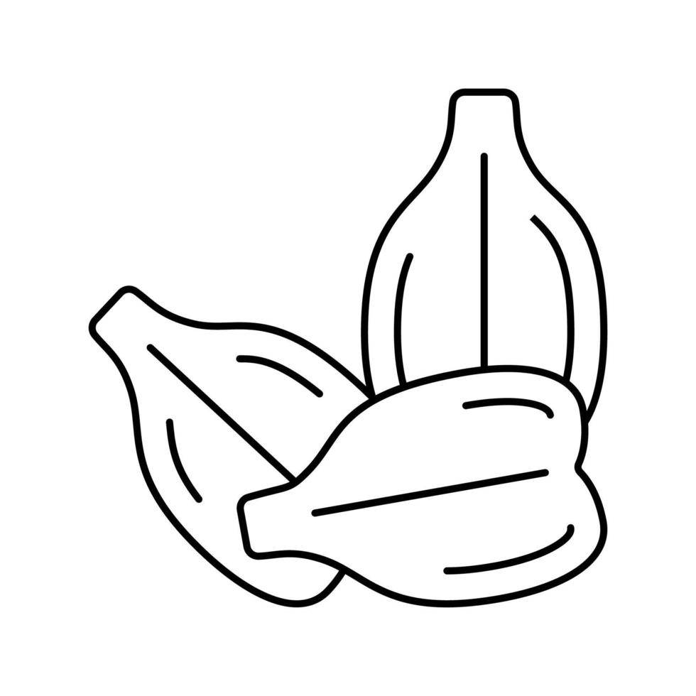 semilla de uva línea icono vector ilustración