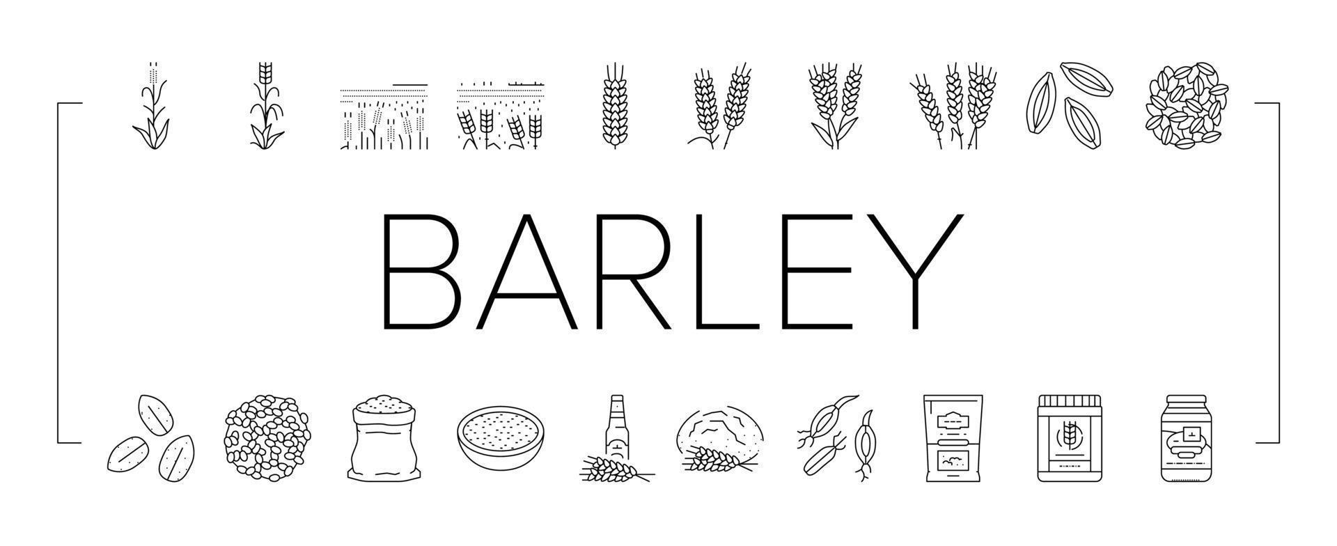 barley cereal grain harvest icons set vector