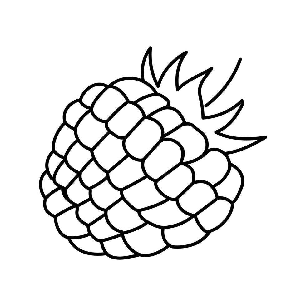 raspberry berry leaf line icon vector illustration