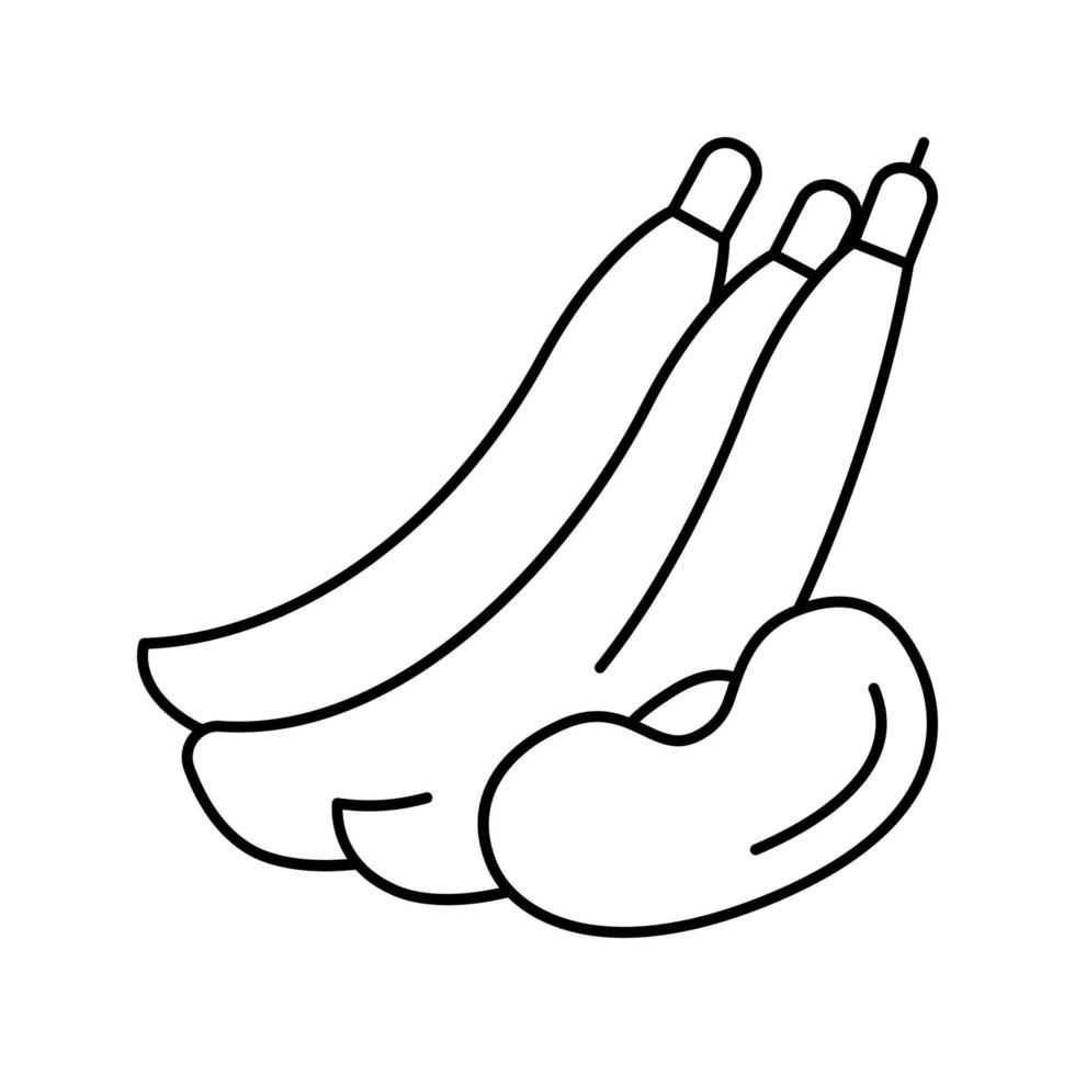 bean nut line icon vector illustration