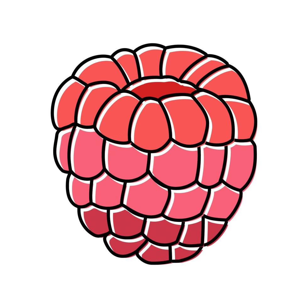 Ilustración de vector de icono de color de fruta madura de frambuesa roja