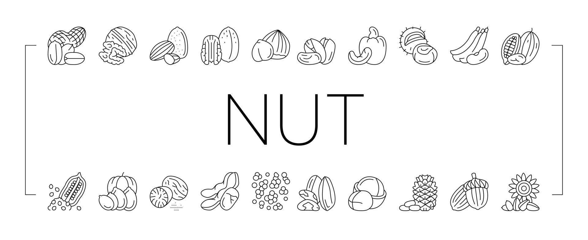 Nut Delicious Natural Nutrition Icons Set Vector