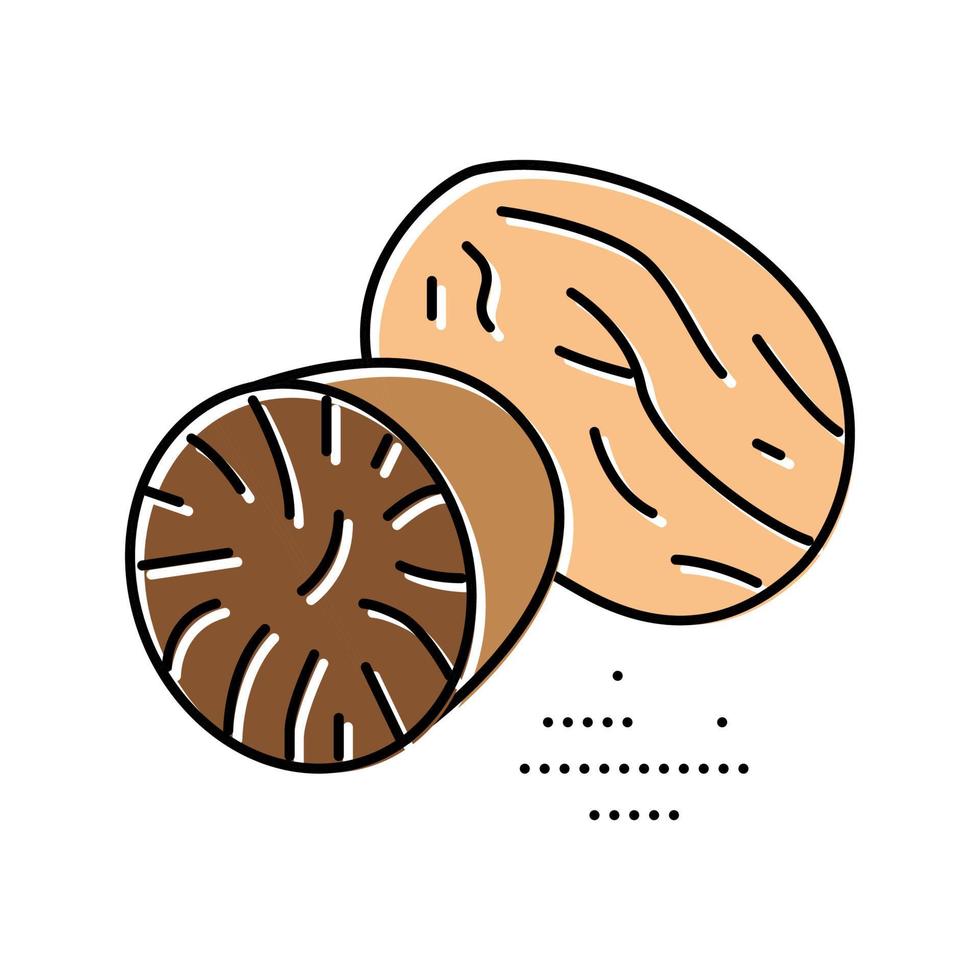 nutmeg nut color icon vector illustration