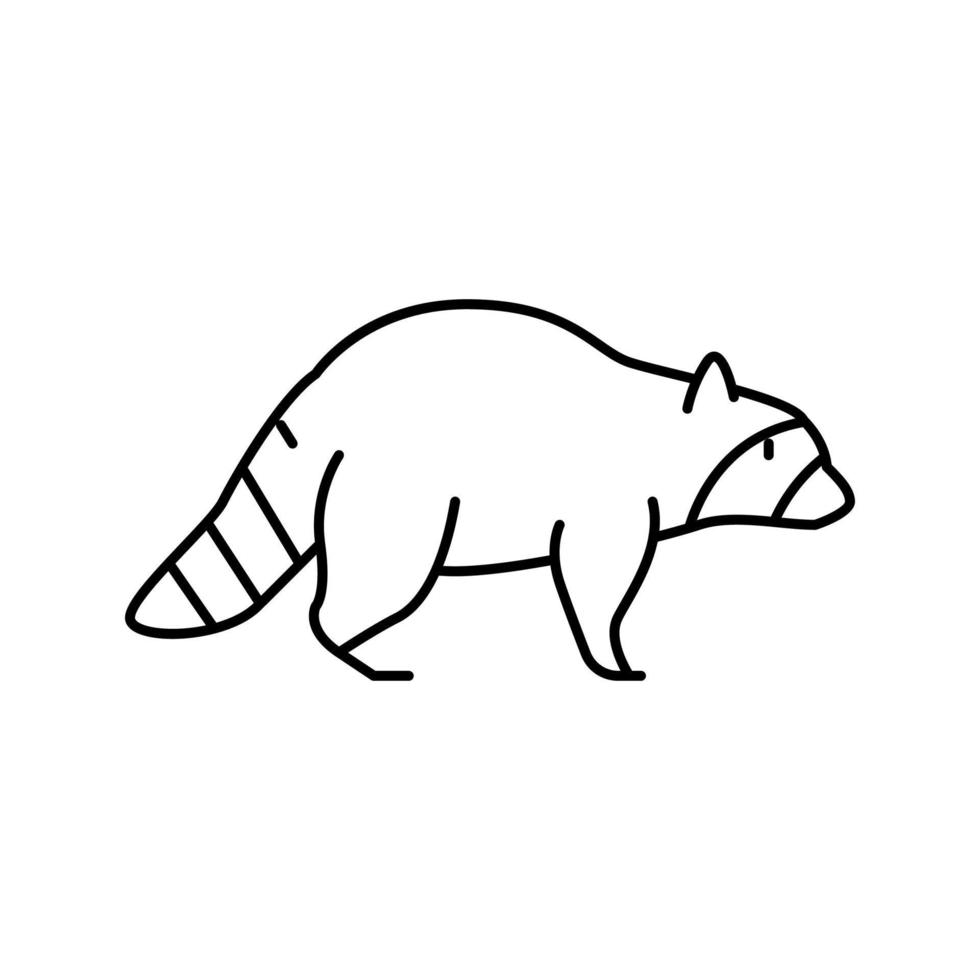 mapache animal salvaje línea icono vector ilustración