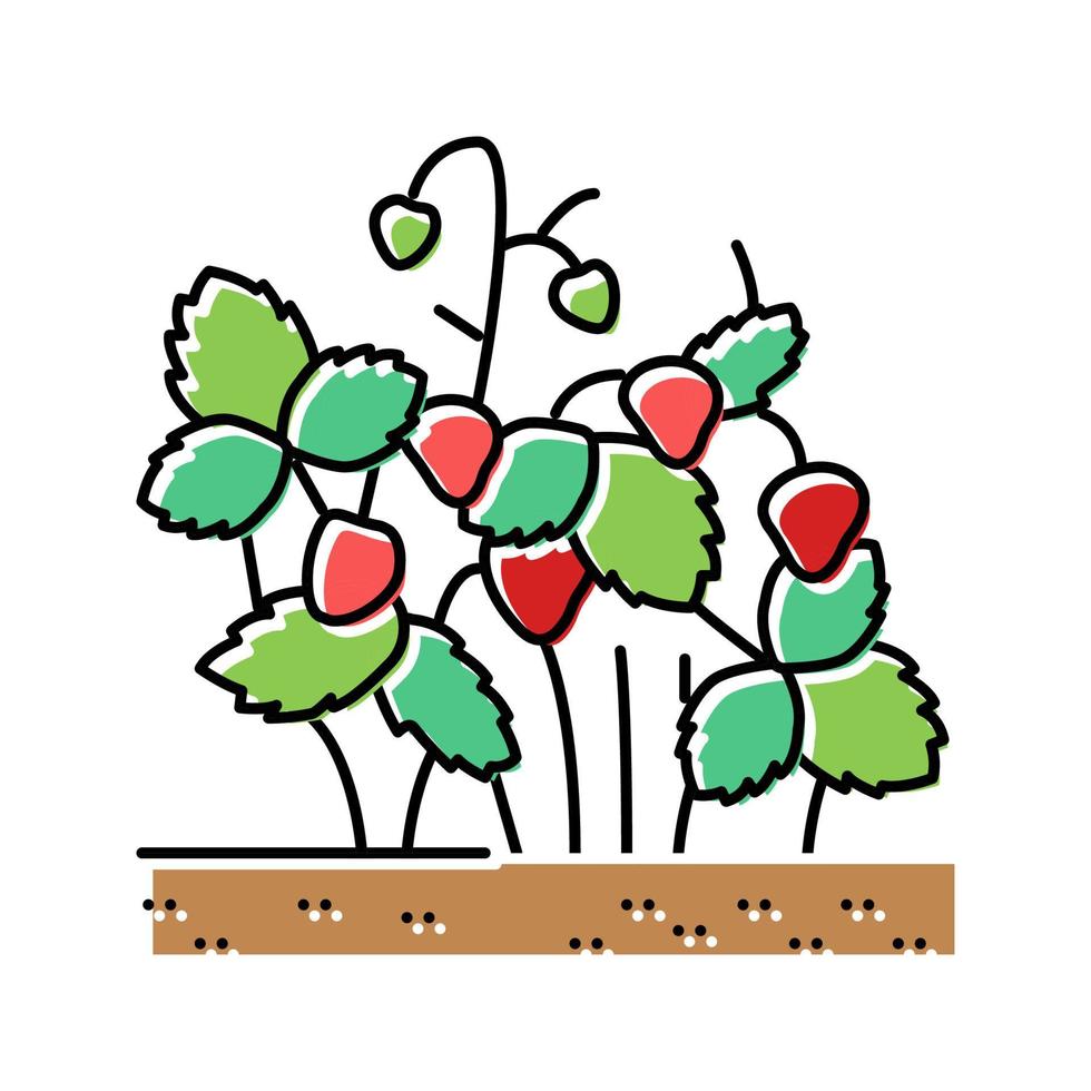 strawberry bush plant color icon vector illustration