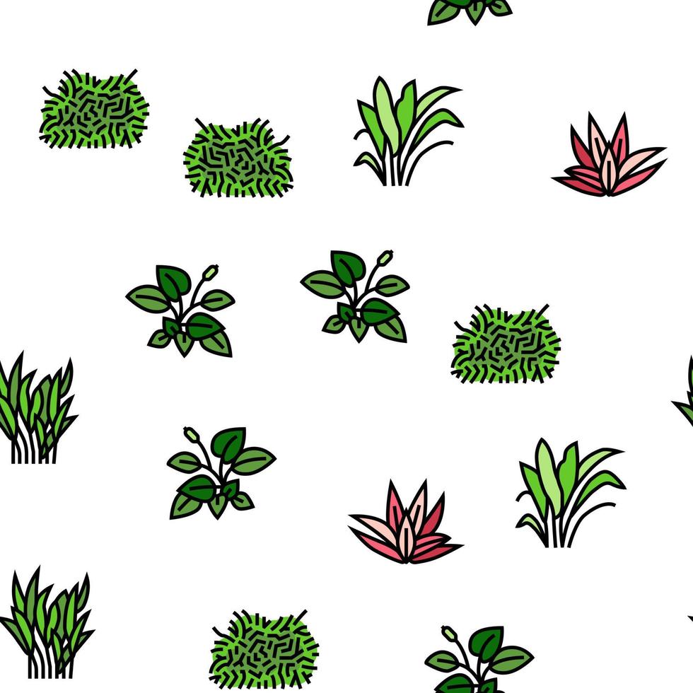 Aquatic Seaweed Natural Plant vector seamless pattern