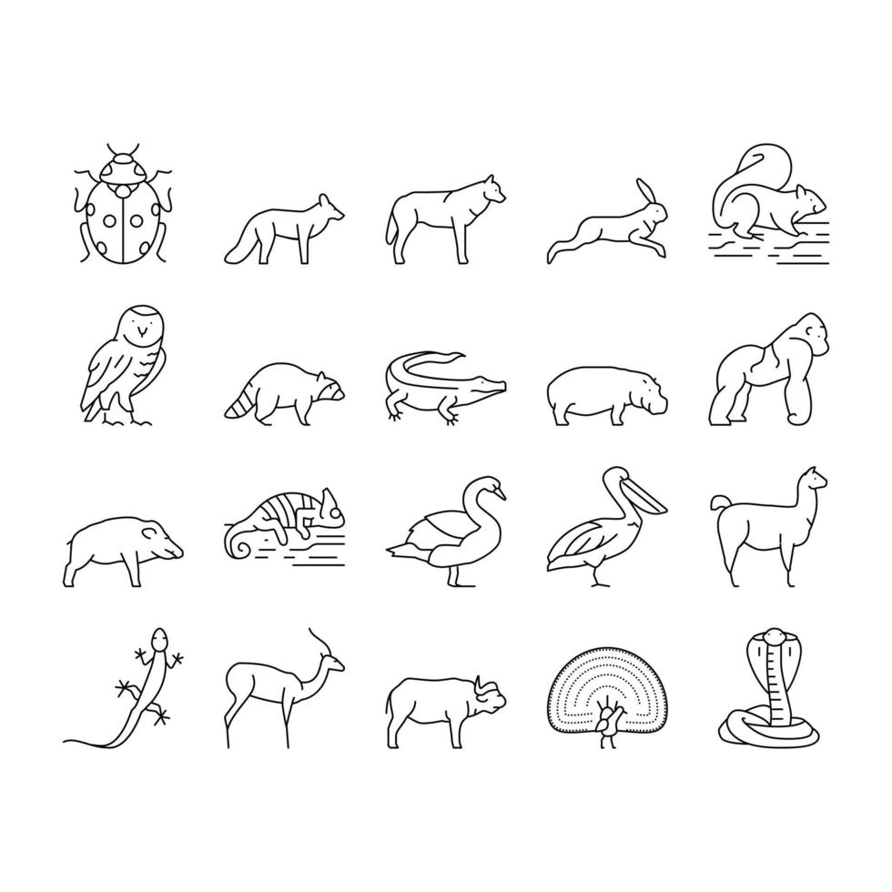 Wild Animals, Bugs And Birds Icons Set Vector
