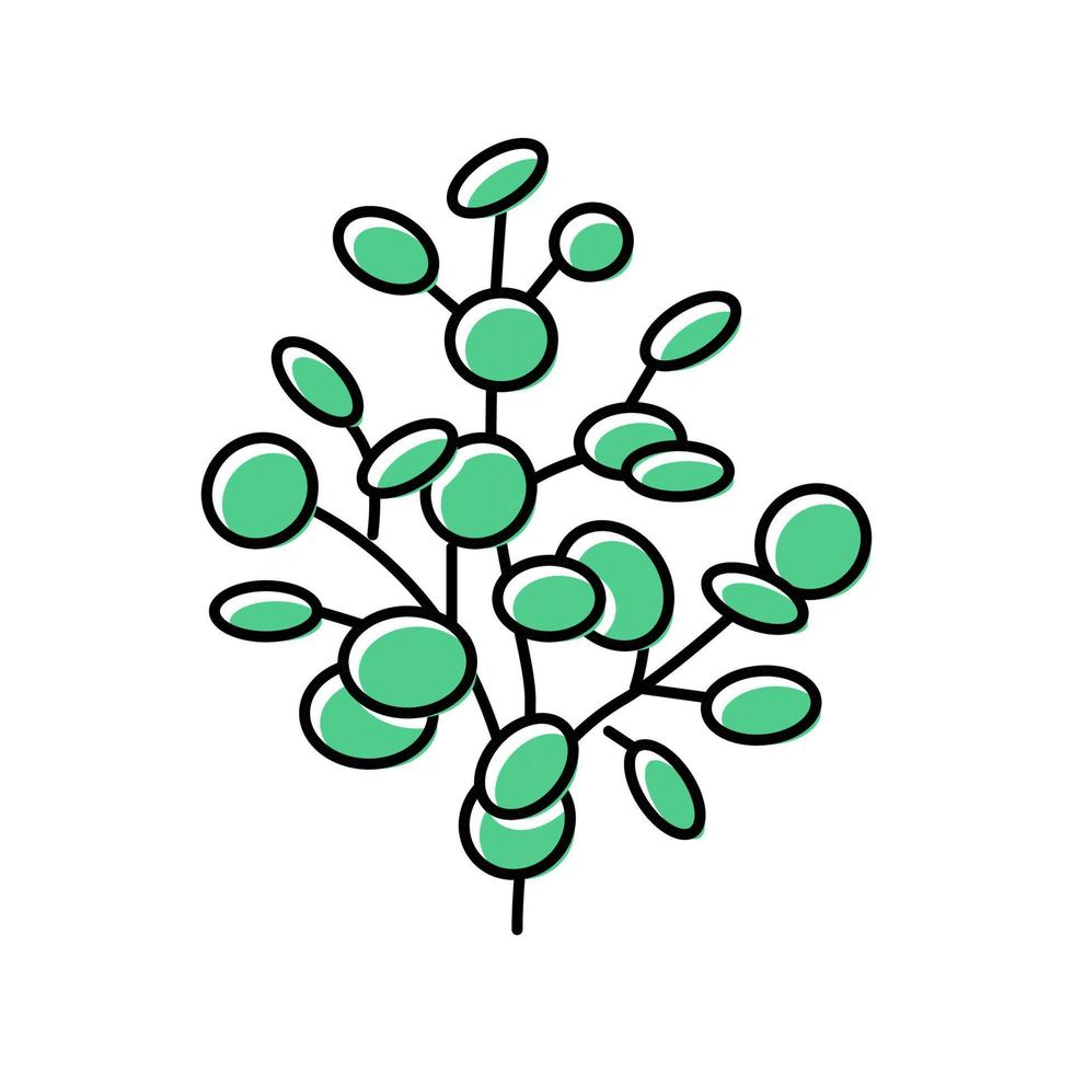 eucalyptus aromatherapy color icon vector isolated illustration