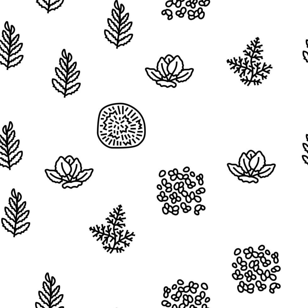 Aquatic Seaweed Natural Plant vector seamless pattern