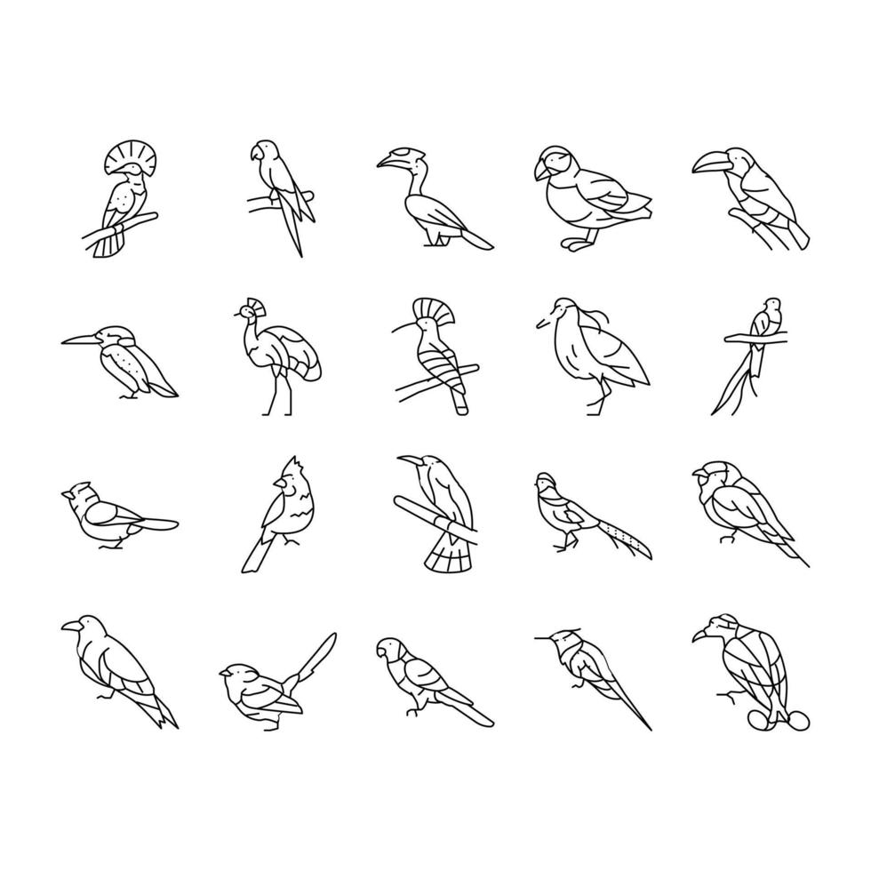 pájaro exótico animal naturaleza salvaje iconos conjunto vector