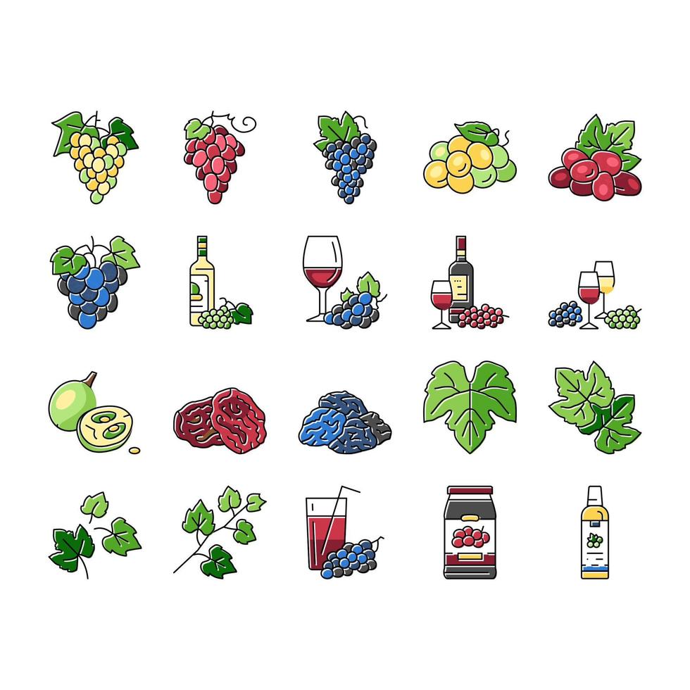 vector de conjunto de iconos verdes de fruta de racimo de vino de uva
