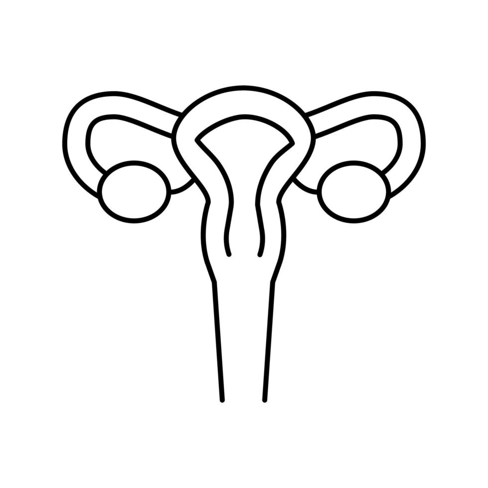 uterus woman organ line icon vector illustration