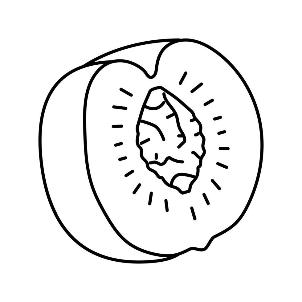 ripe peach cut pit line icon vector illustration