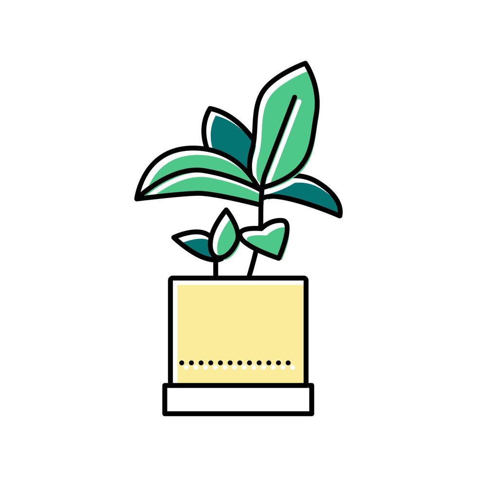 planta de interior de hojas verdes en la ilustración de vector de icono de color de maceta