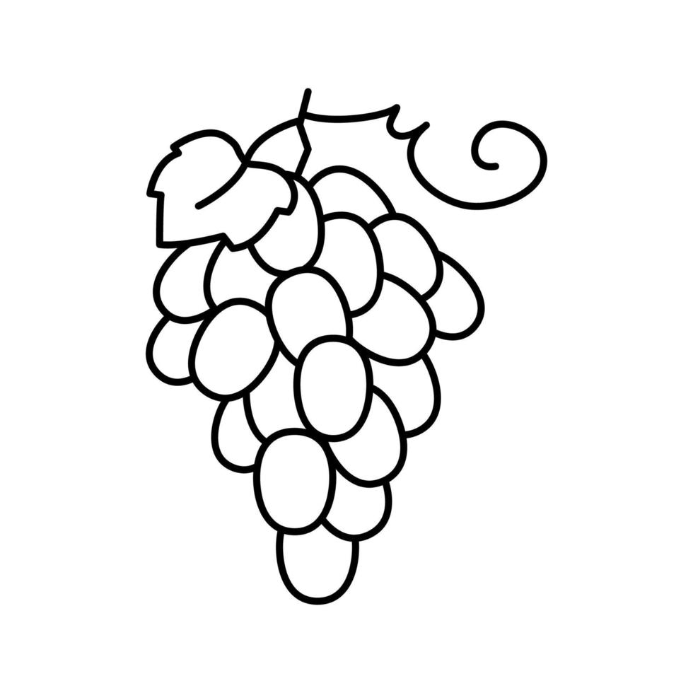 ilustración de vector de icono de línea de racimo de uvas rojas