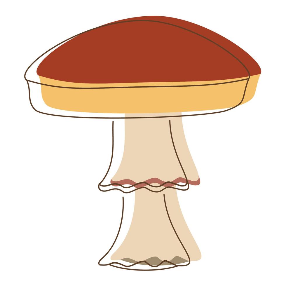 Amanita mushroom lineart. Edible Organic mushrooms. Truffle brown cap. Forest wild mushrooms types. Colorful vector illustration isolated on white background.