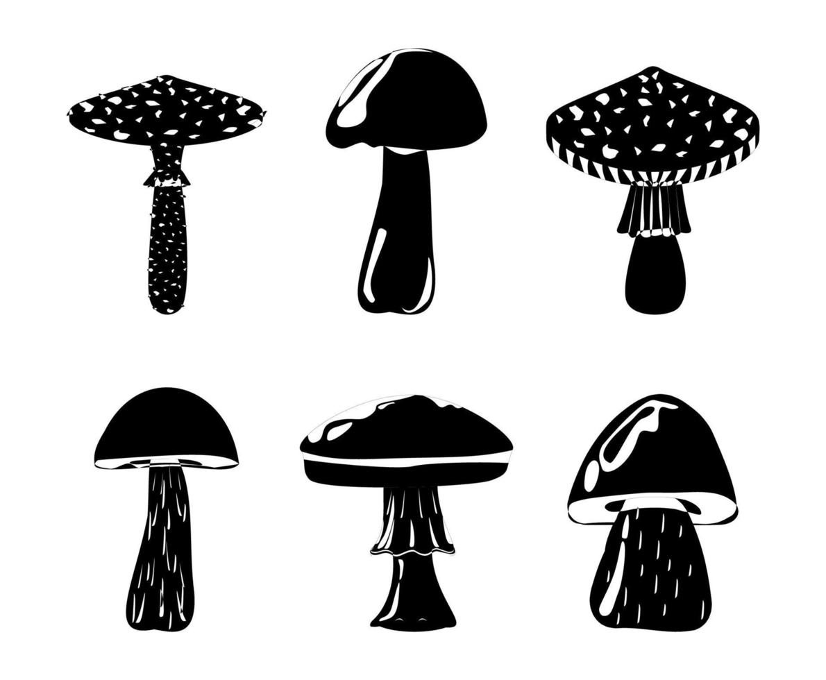 amanita seta venenosa porcini suillus seta shiitake. hongos orgánicos comestibles. Tipos de hongos silvestres del bosque. vector