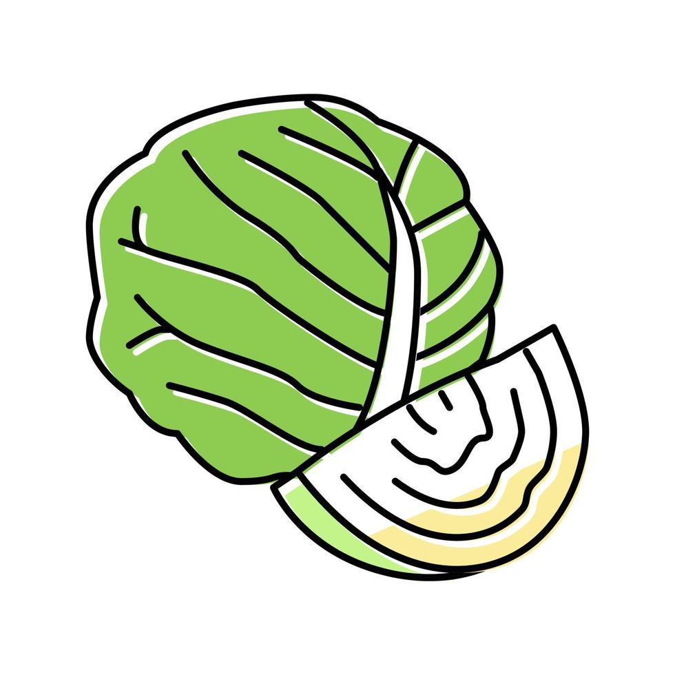 cabbage healthy vegetable color icon vector illustration