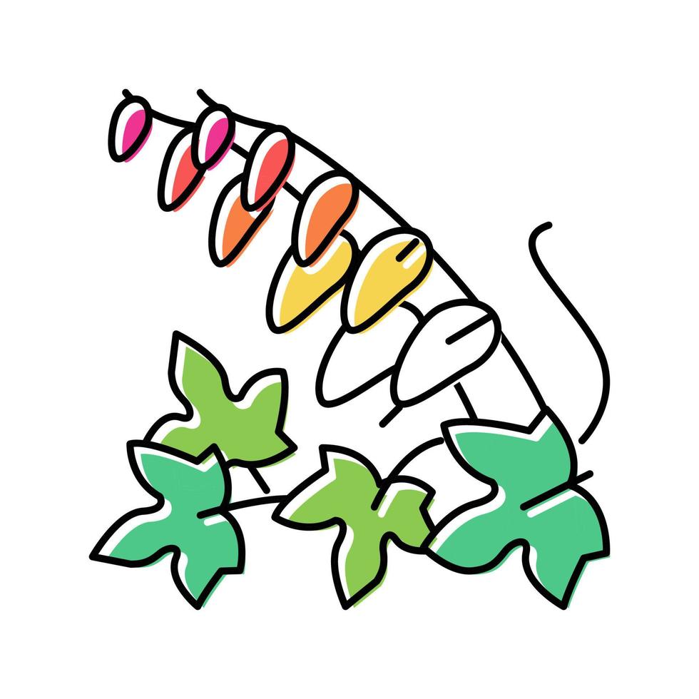 firecracker vine color icon vector illustration