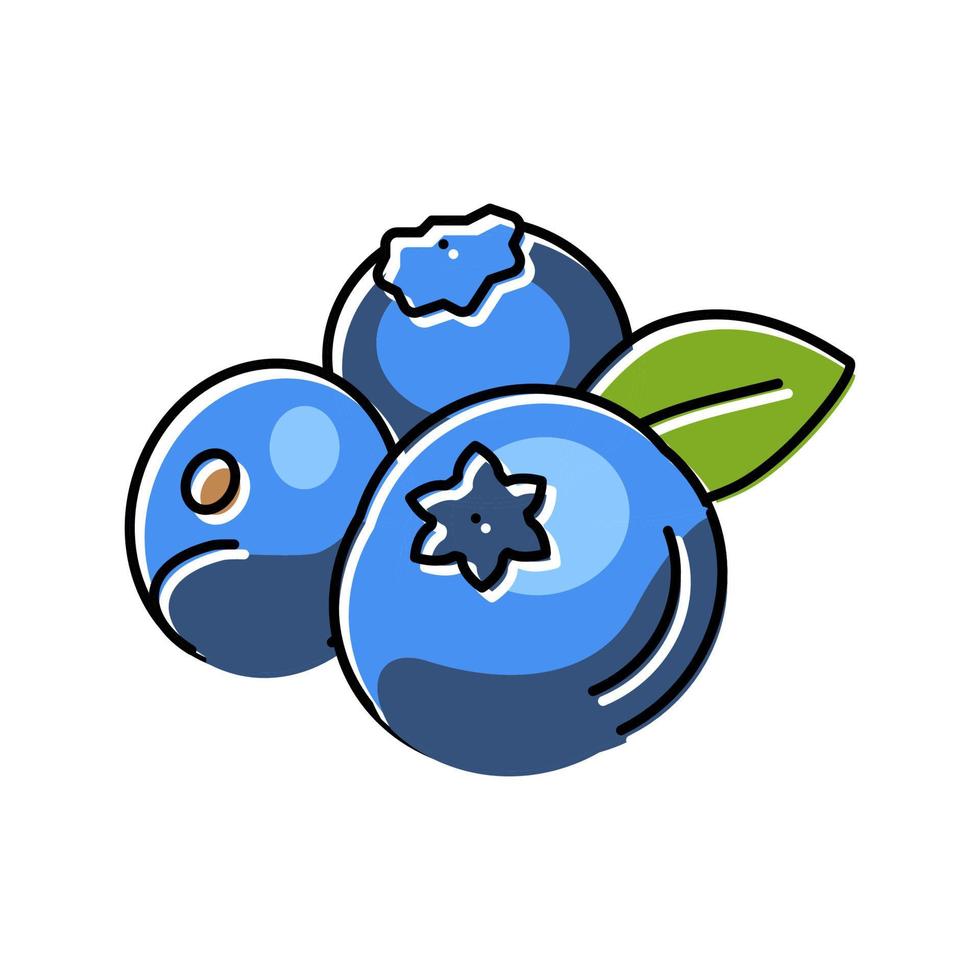 fresh blueberry leaf color icon vector illustration