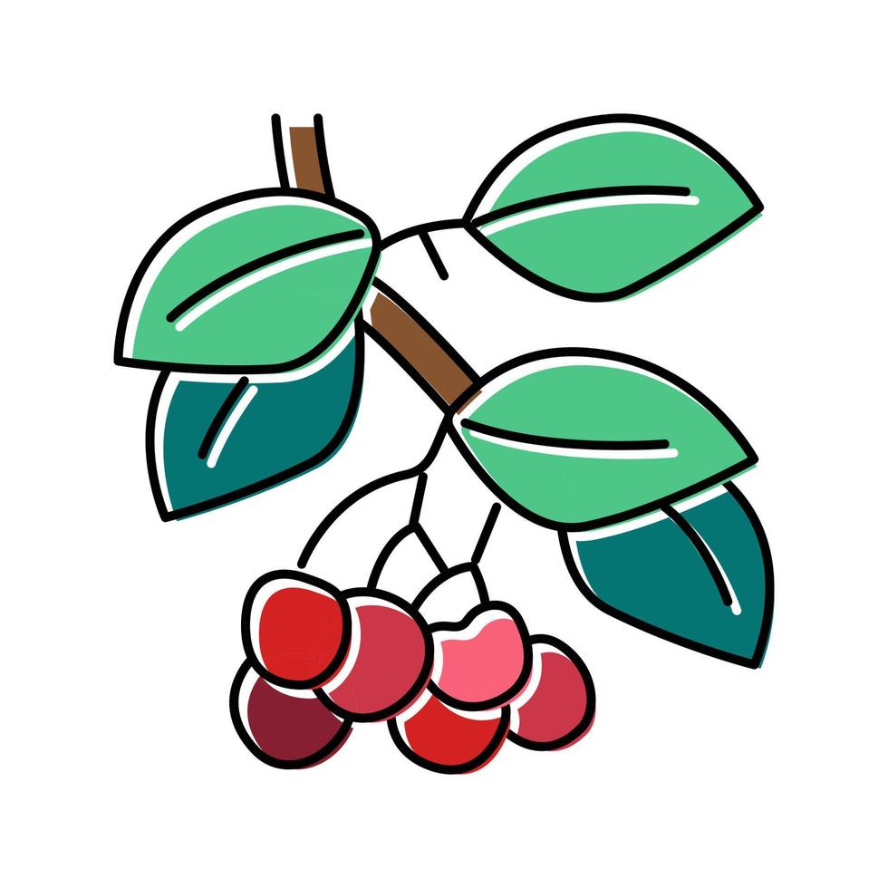 cherry branch color icon vector illustration