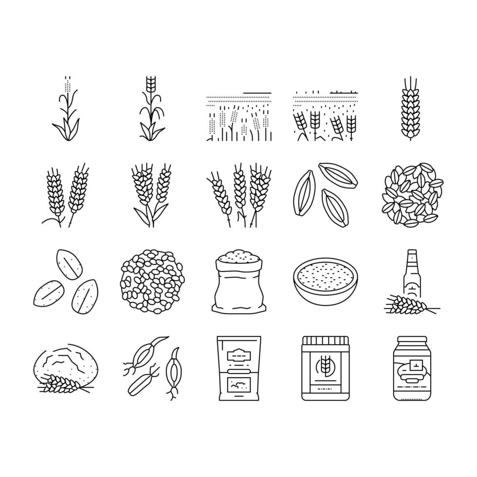 barley cereal grain harvest icons set vector