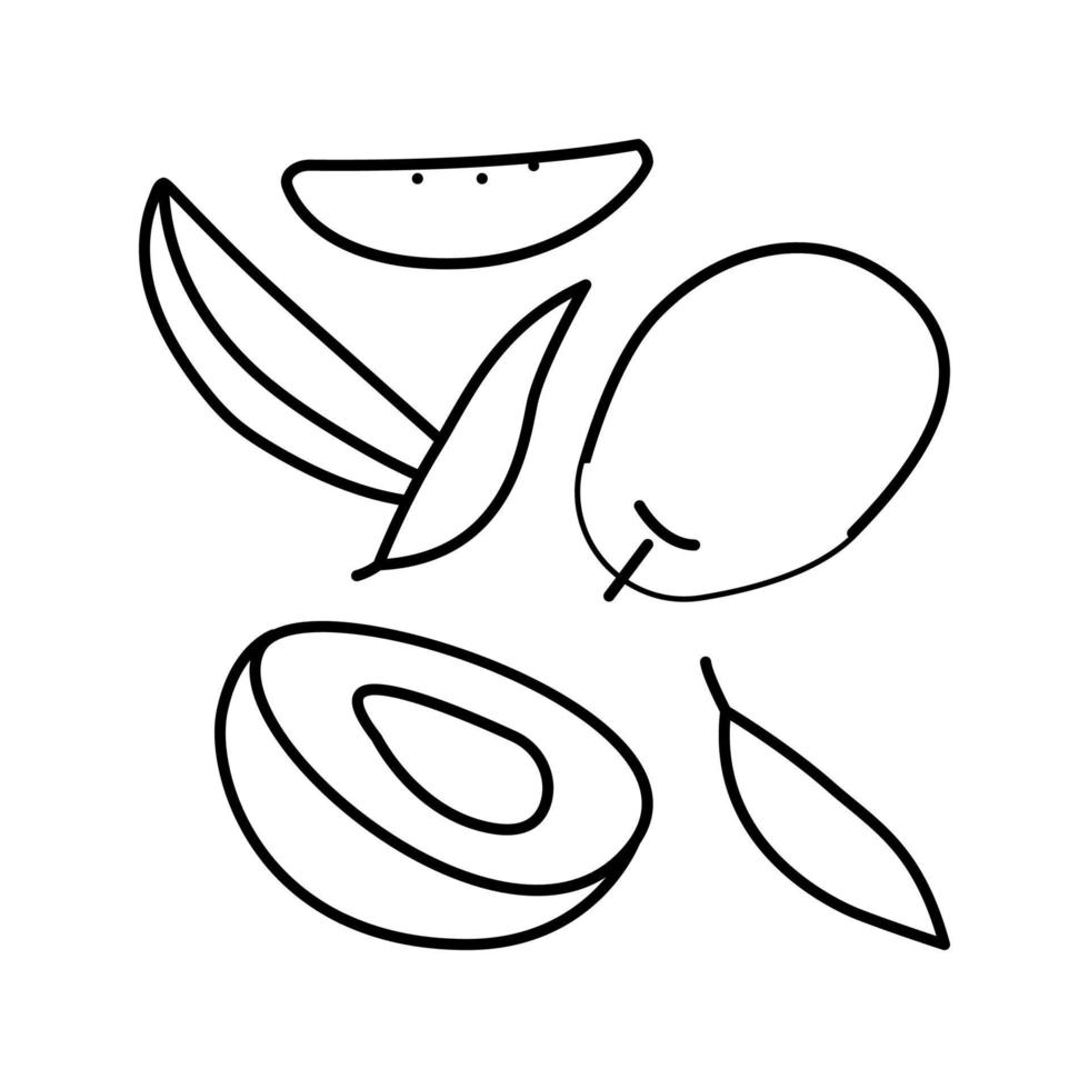 mango ripe cut leaf red line icon vector illustration 19003797 Vector