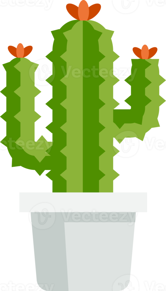 color plano de cactus png