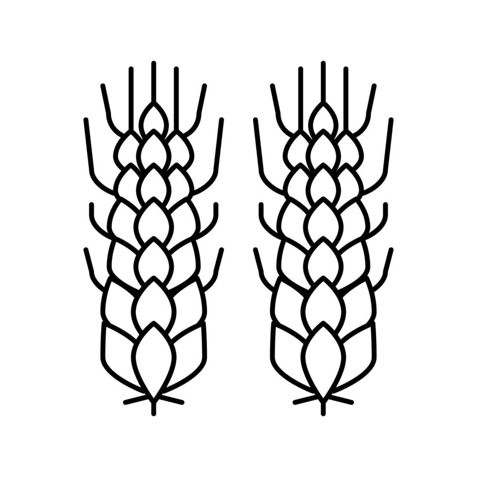 wheat beer drink line icon vector illustration