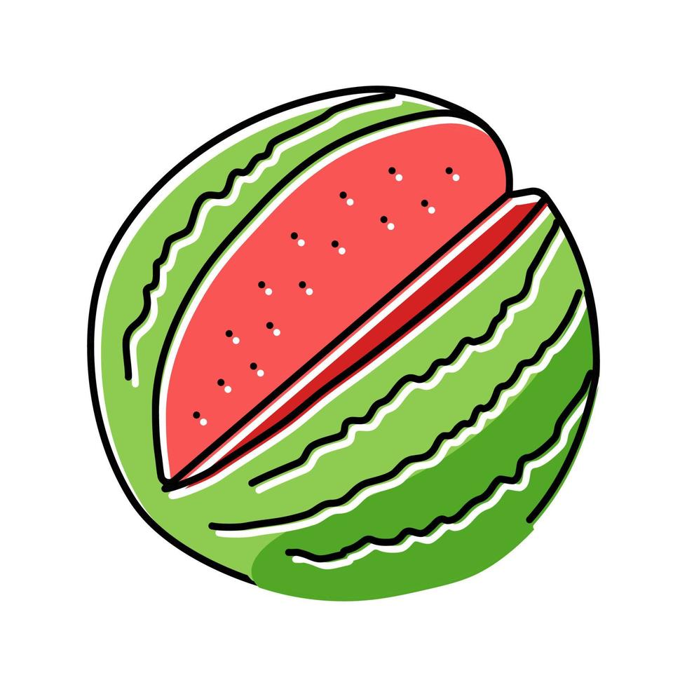 cut watermelon color icon vector illustration