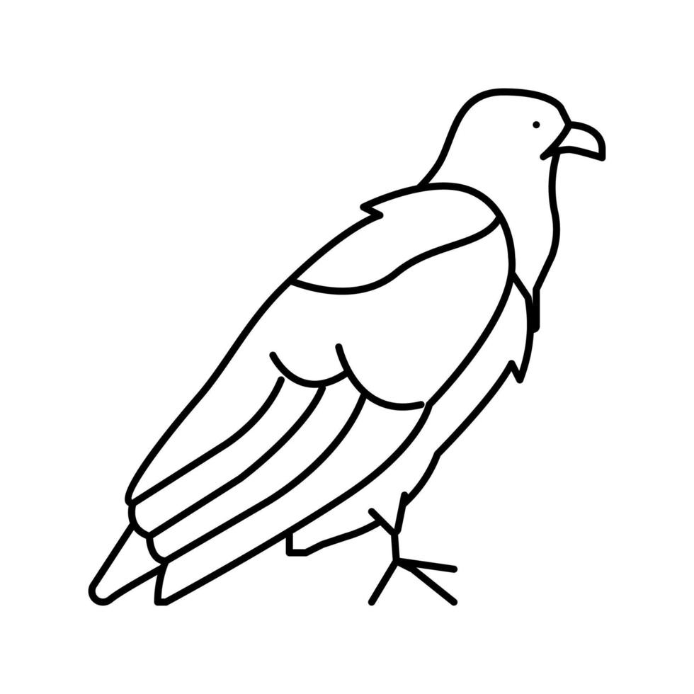 eagle bird line icon vector illustration