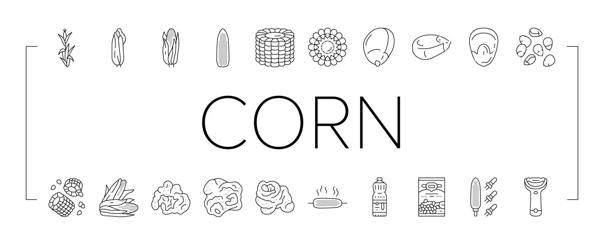 corn maize green, cob sweet icons set vector