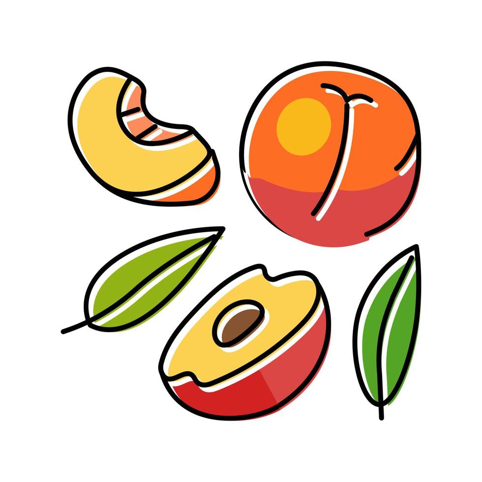 juicy peach cut color icon vector illustration