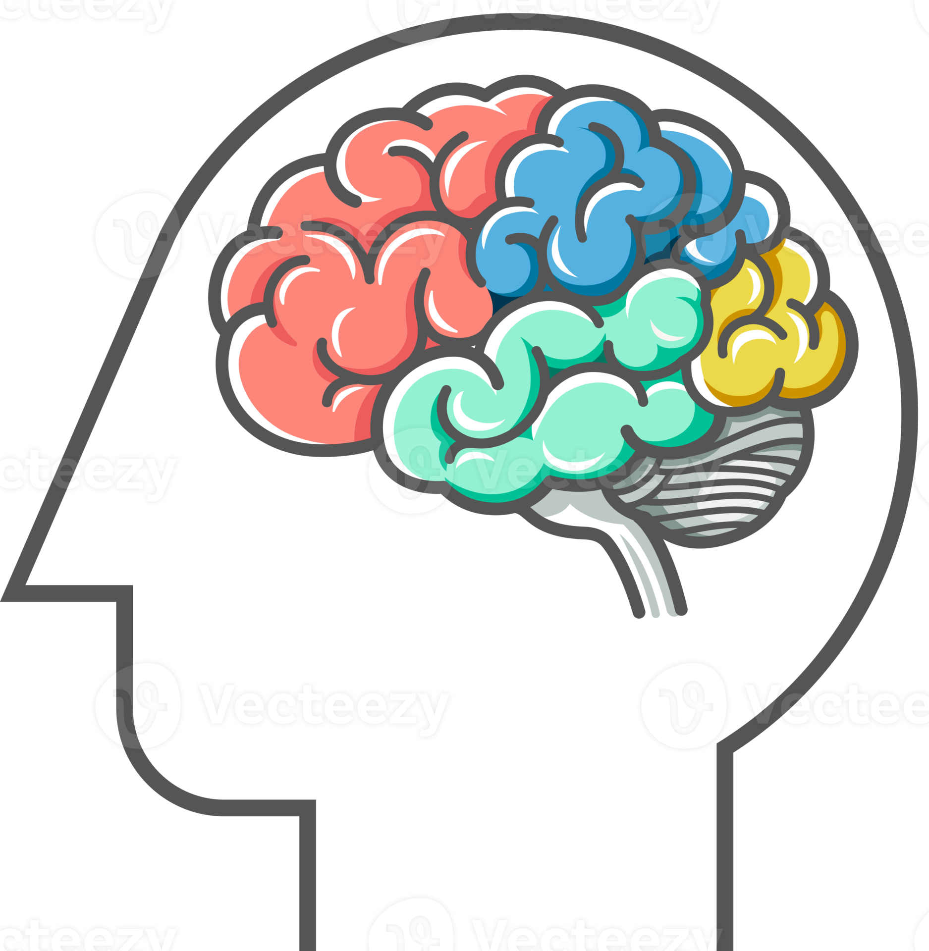Human brain diagram 19004947 PNG