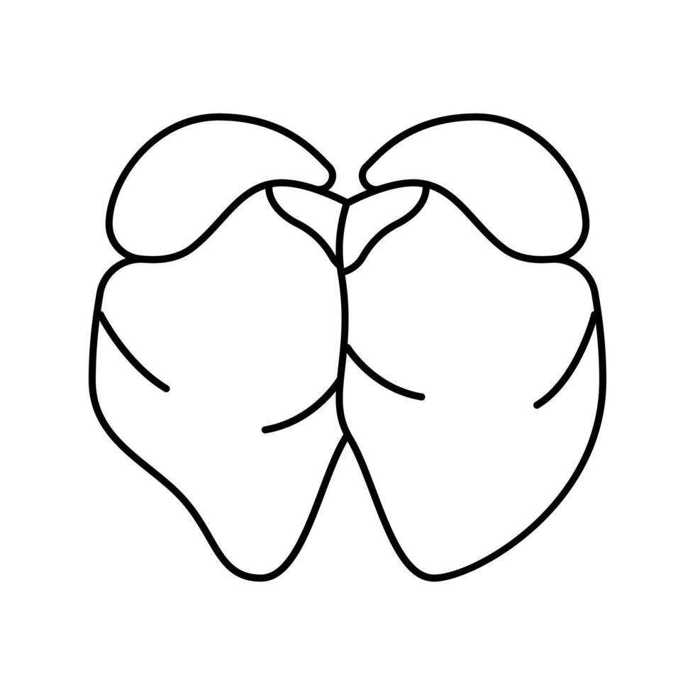 liver chicken line icon vector illustration