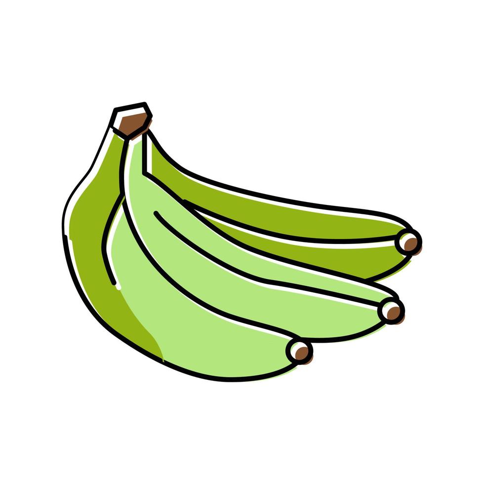 ilustración de vector de icono de color de plátano verde