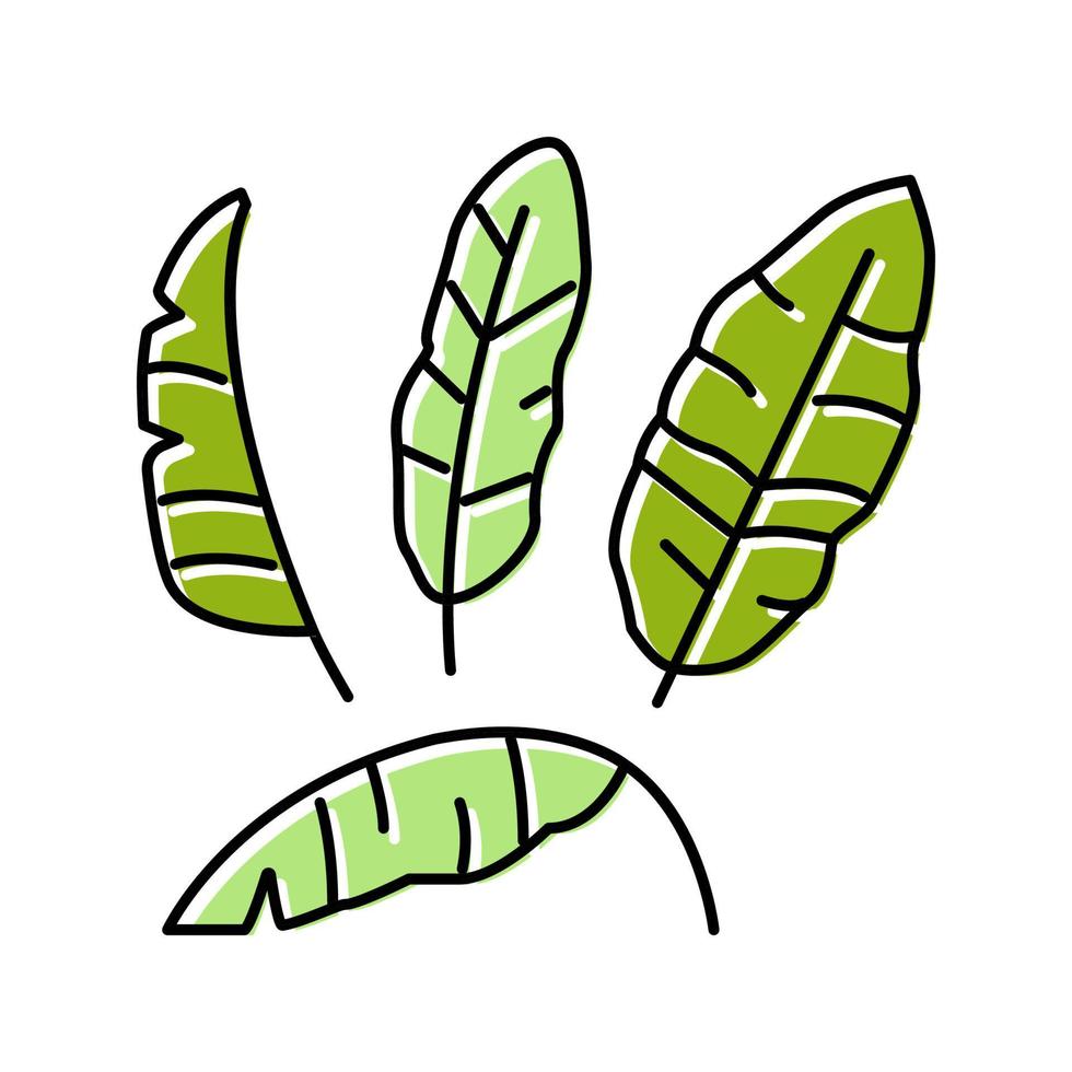 leaves banana color icon vector illustration