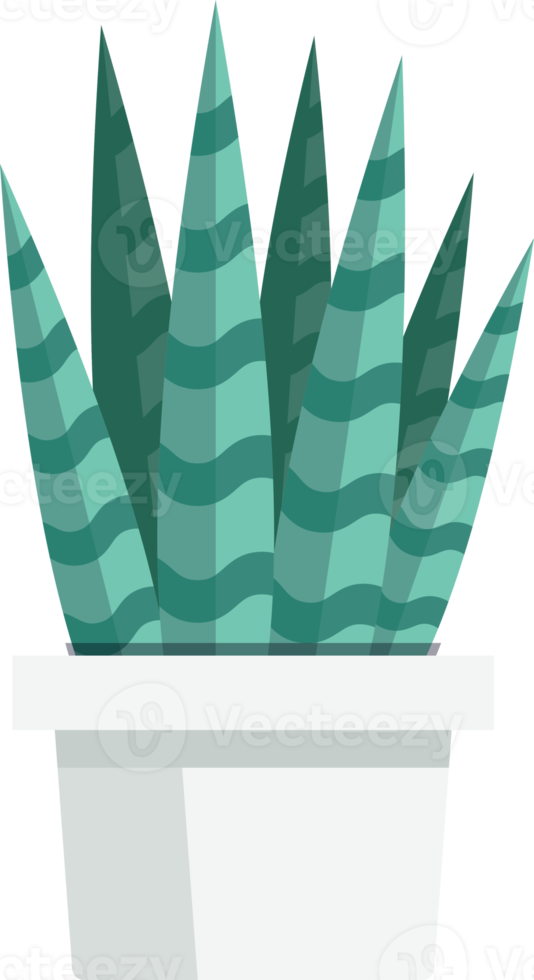 Cactus color symbol png