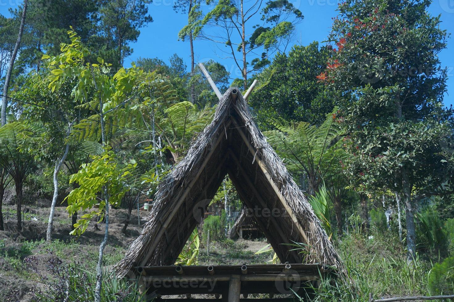 a traditional house from indonesia on a mountain surrounded by trees in the wilderness photo