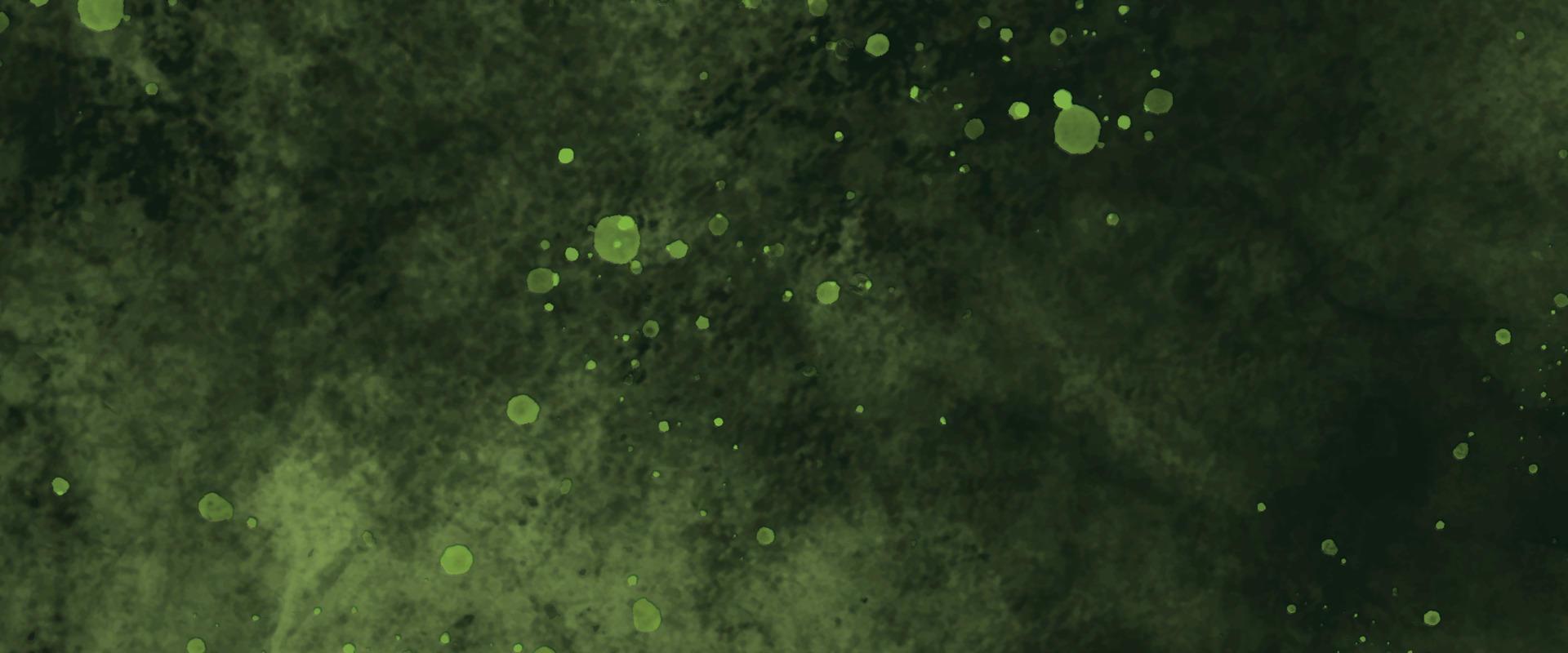 fondo de acuarela verde abstracto. creativos tonos verdes y amarillos textura dibujada a mano. lienzo de acuarela con textura de papel de acuarela para un diseño creativo moderno. fondo con grunge. lavar agua vector