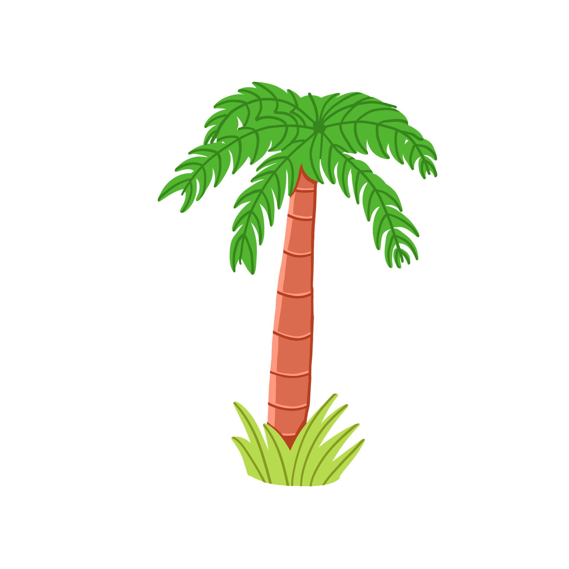 Palm tree. Hand drawn vector illustration in cartoon style. 19012967