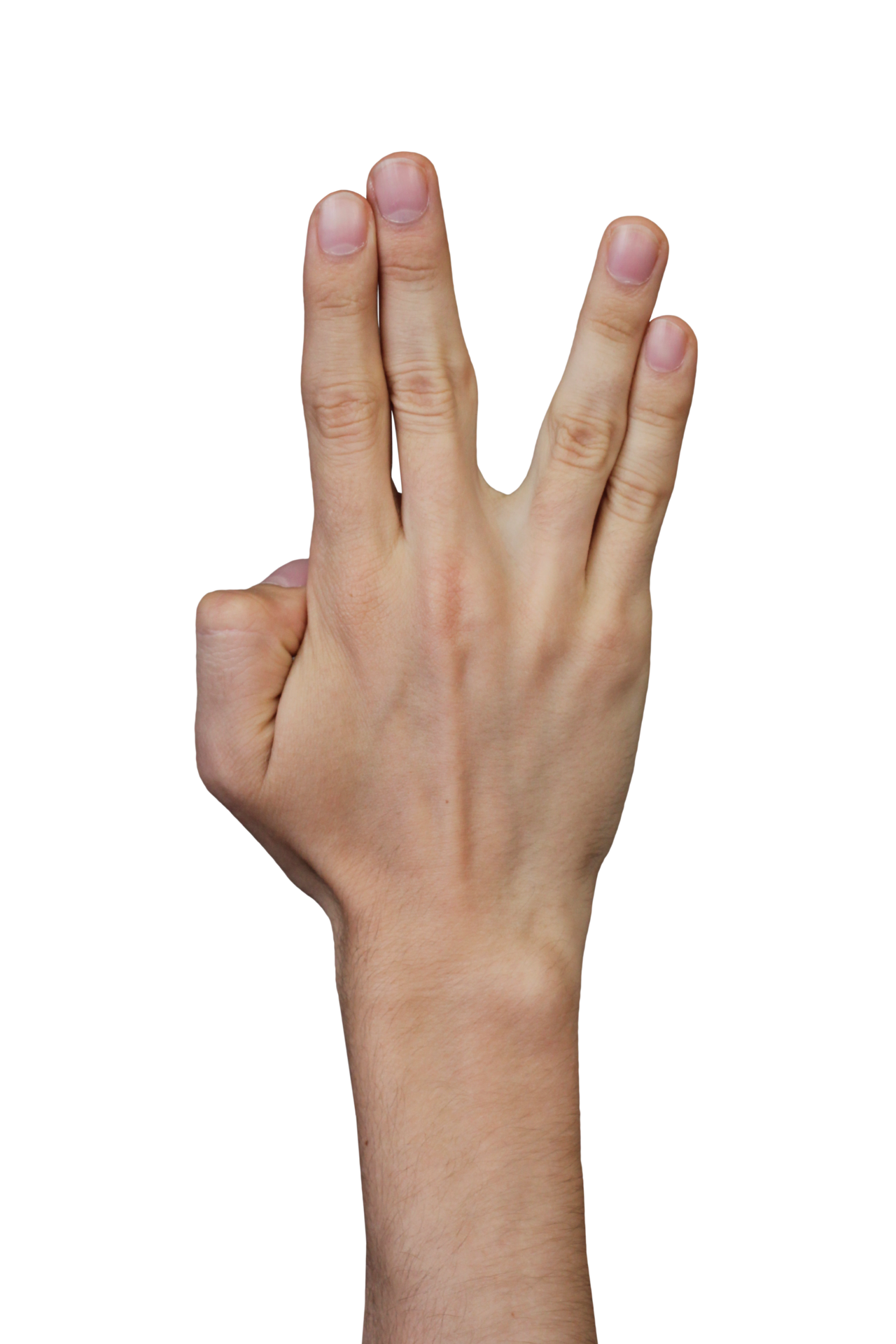 Free Human hands split back gestures realistic images 19014233 PNG with Transparent Background