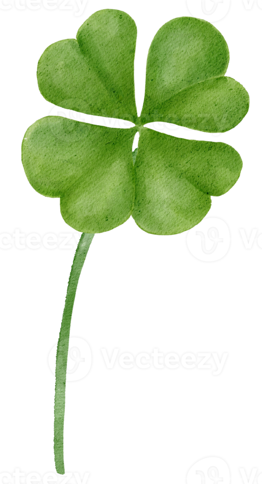 watercolour st Patrick lucky clover three leaf cartoon hand painting png