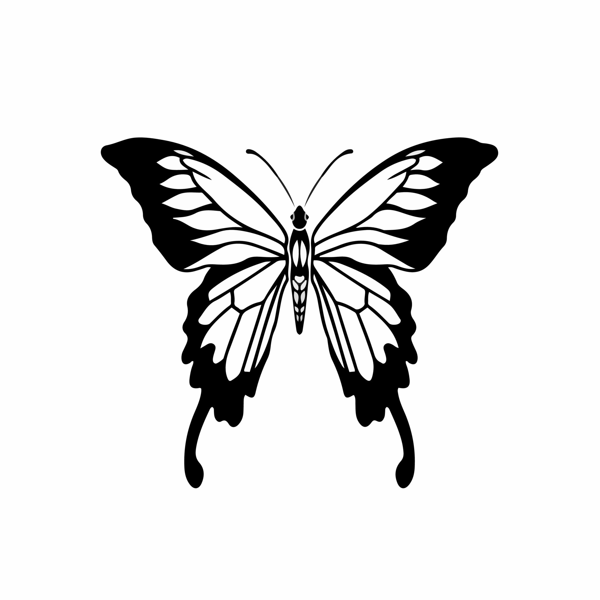 Butterfly Logo Symbol Stencil Design Animal Tattoo Vector butterfly-stencil-butterfly-stencil-butterfly-drawing-animal-stencil