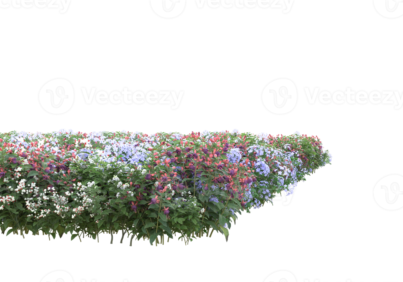 Grass with flowers isolated on transparent background. 3d rendering - illustration png