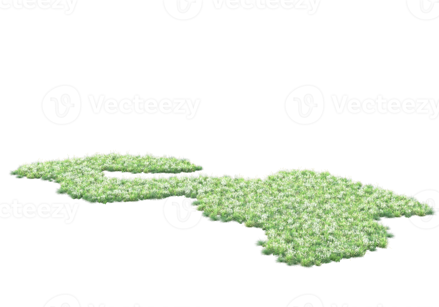 Grass with flowers isolated on transparent background. 3d rendering - illustration png