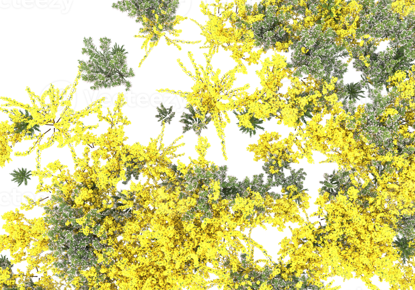 Grass with flowers isolated on transparent background. 3d rendering - illustration png